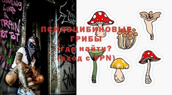 гидропоника Нея