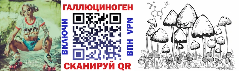 Псилоцибиновые грибы Magic Shrooms  blacksprut ссылка  Унеча 