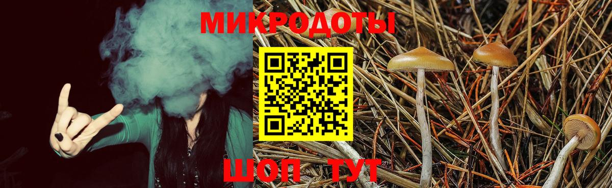 Галлюциногенные грибы ЛСД Унеча