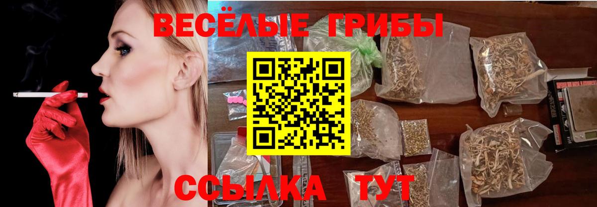Галлюциногенные грибы GOLDEN TEACHER  Вход с VPN  купить   Унеча 